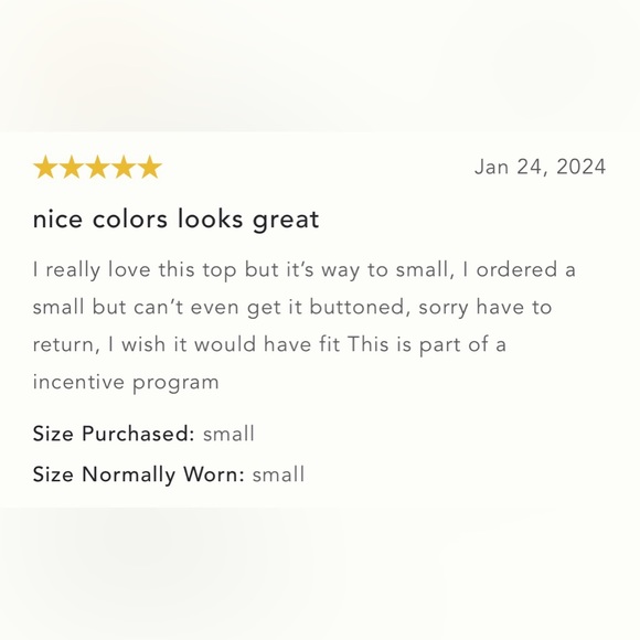 NWT Size S - Pilcro Collared Mesh Buttondown Shirt - Picture 12 of 15